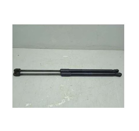 AMORTIGUADOR PORTON TRASERO 2013-2020