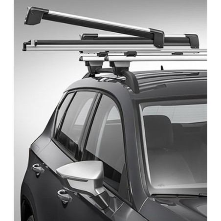  Portaesquís y Snowboard Extensible SEAT